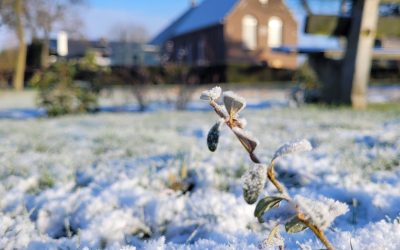 Geslaagde winterbijeenkomst 7 februari