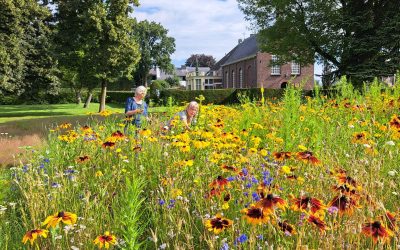 Hoe onderhouden we de SamenTuin?